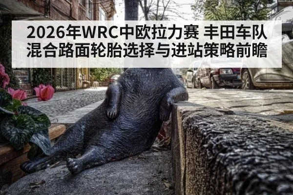 2026年WRC中欧拉力赛 丰田车队混合路面轮胎选择与进站策略前瞻