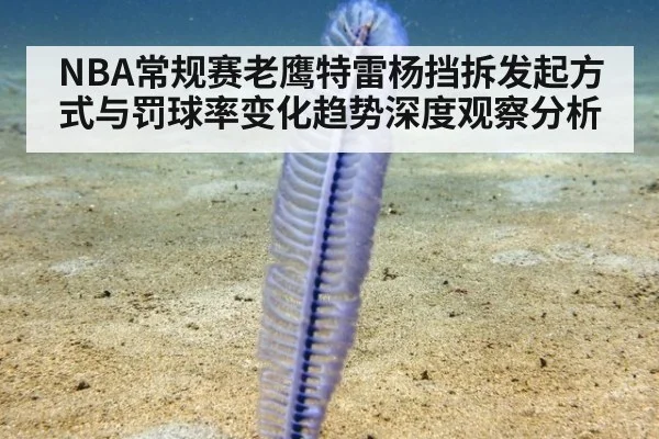 NBA常规赛老鹰特雷杨挡拆发起方式与罚球率变化趋势深度观察分析